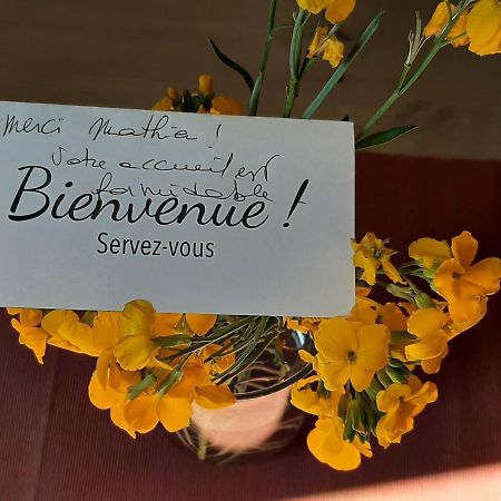 דיז'ון Le Moutardier : Chaleureux T2 Au Coeur De Ville מראה חיצוני תמונה