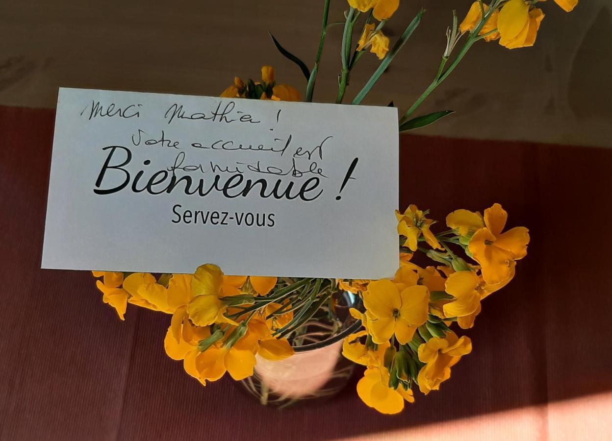 דיז'ון Le Moutardier : Chaleureux T2 Au Coeur De Ville מראה חיצוני תמונה